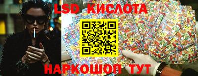 гидропоника Обнинск