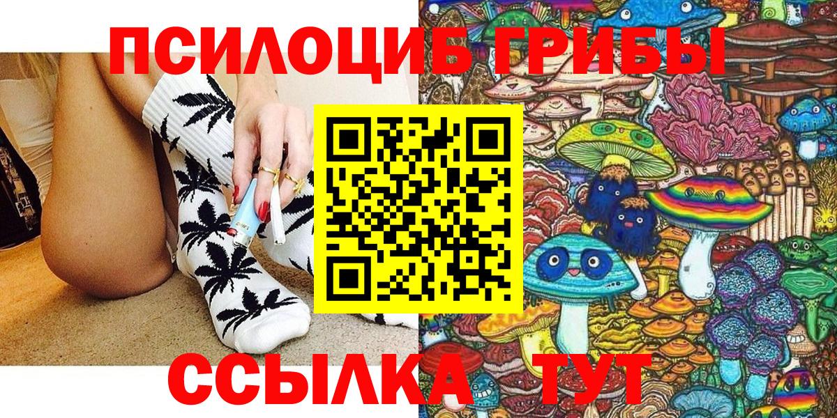 Тара  Псилоцибиновые грибы Psilocybe  Вход с VPN 