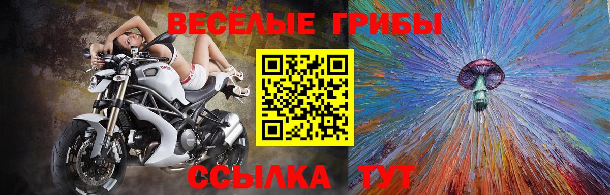 Галлюциногенные грибы Cubensis Тара